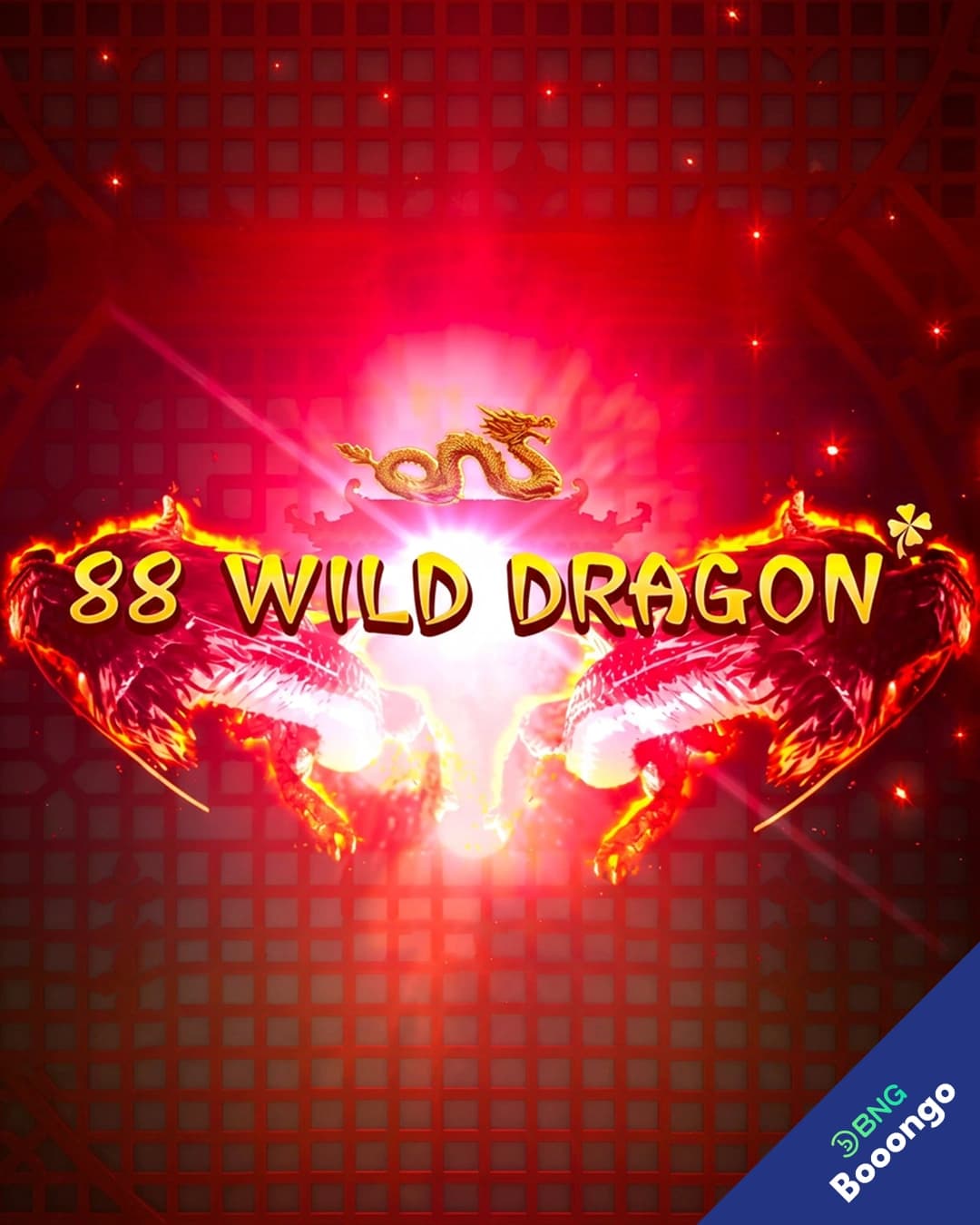 88 Wild Dragon