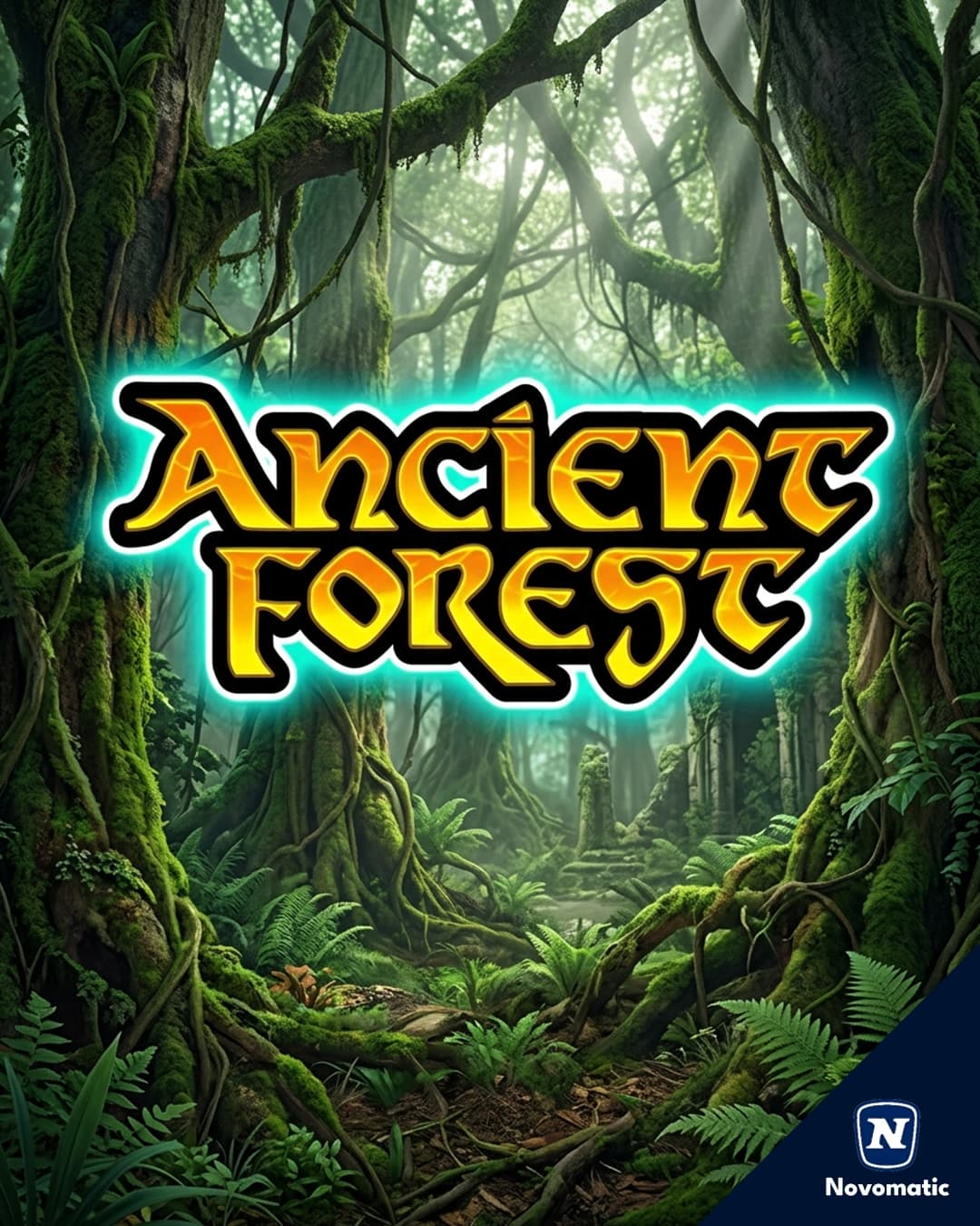 Ancient Forest