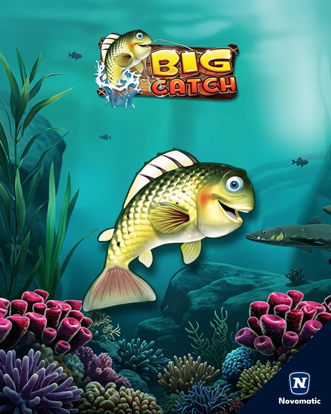 Big Catch